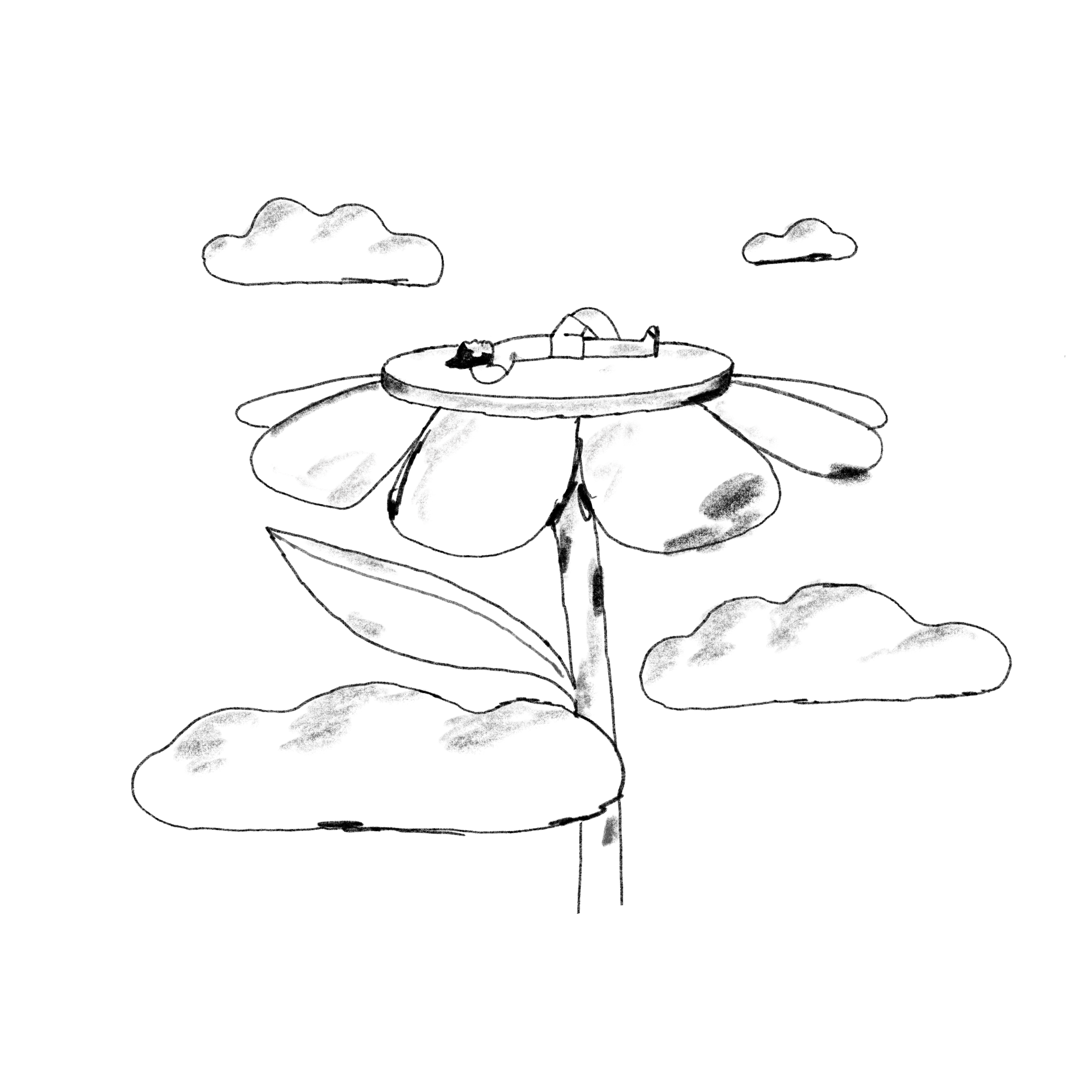 Mailchimp Site Illustrations — 4