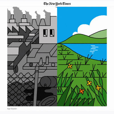 New York Times Op-Ed — 2